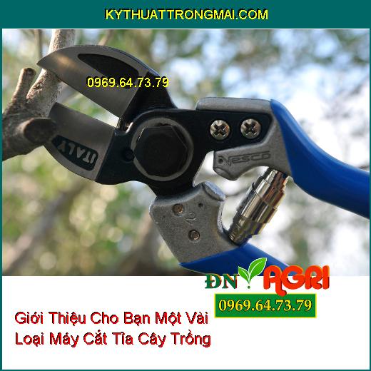 Giới Thiệu Cho Bạn Một Vài Loại Máy Cắt Tỉa Cây Trồng