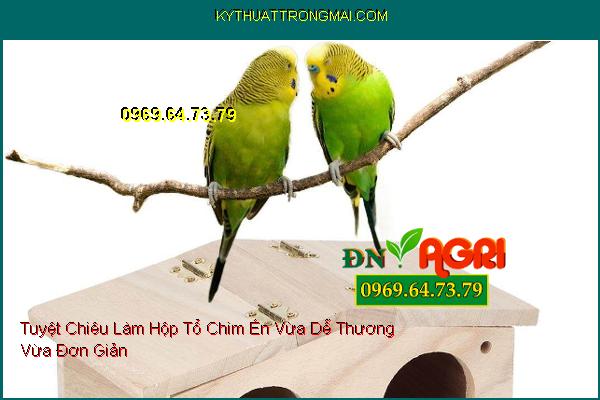 Tuyệt Chiêu Làm Hộp Tổ Chim Én Vừa Dễ Thương Vừa Đơn Giản