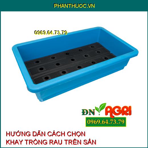 HƯỚNG DẪN CÁCH CHỌN KHAY TRỒNG RAU TRÊN SÂN THƯỢNG