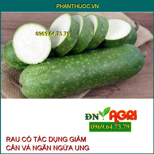 Giảm Cân, Ngăn Ngừa Ung Thư Với 9 Loại Rau "Thần Dược" Bạn Đã Biết?