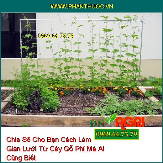 Chia Sẽ Cho Bạn Cách Làm Giàn Lưới Từ Cây Gỗ Phỉ Mà Ai Cũng Biết