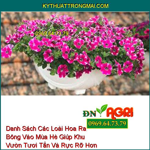 Danh Sách Các Loài Hoa Ra Bông Vào Mùa Hè Giúp Khu Vườn Tươi Tắn Và Rực Rỡ Hơn