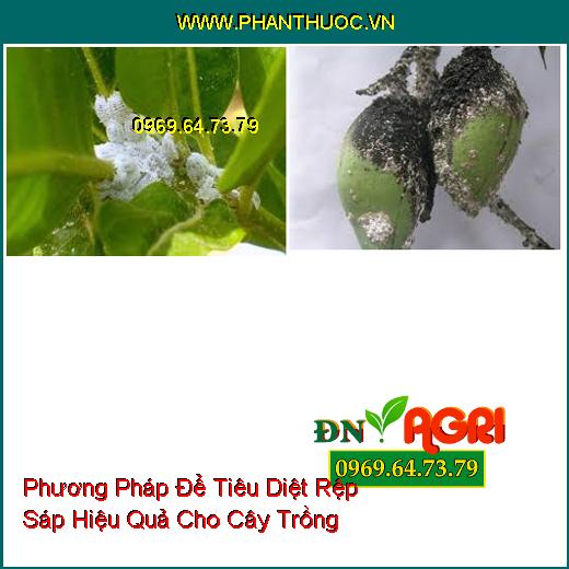 Phương Pháp Để Tiêu Diệt Rệp Sáp Hiệu Quả Cho Cây Trồng