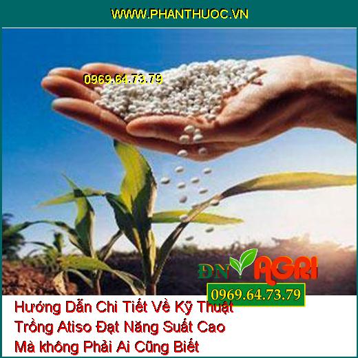 Hướng Dẫn Chi Tiết Về Kỹ Thuật Trồng Atiso Đạt Năng Suất Cao Mà không Phải Ai Cũng Biết