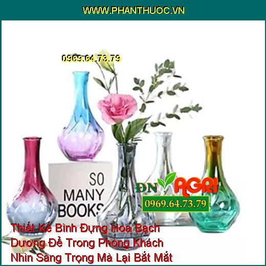 Thiết Kế Bình Đựng Hoa Bạch Dương Để Trong Phòng Khách Nhìn Sang Trọng Mà Lại Bắt Mắt