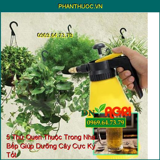 5 Thứ Quen Thuộc Trong Nhà Bếp Giúp Dưỡng Cây Cực Kỳ Tốt