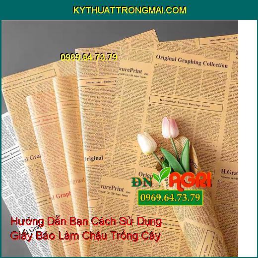 Hướng Dẫn Bạn Cách Sử Dụng Giấy Báo Làm Chậu Trồng Cây