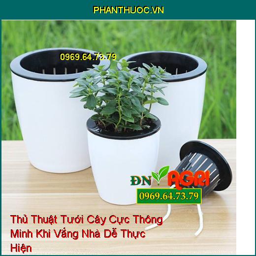 7 Thủ Thuật Tưới Cây Cực Thông Minh Khi Vắng Nhà Dễ Thực Hiện