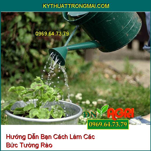 Hướng Dẫn Bạn Cách Làm Các Bức Tường Rào Vừa Đơn Giản Vừa Dễ Làm