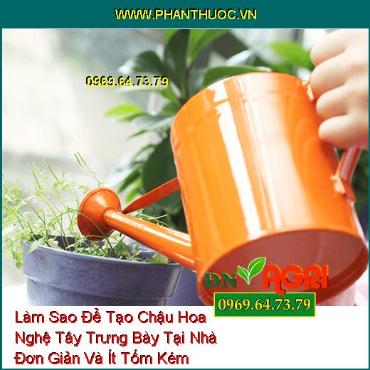 Làm Sao Để Tạo Chậu Hoa Nghệ Tây Trưng Bày Tại Nhà Đơn Giản Và Ít Tốm Kém