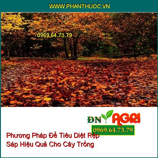 Phương Pháp Để Tiêu Diệt Rệp Sáp Hiệu Quả Cho Cây Trồng