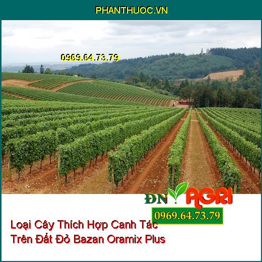 10 Loại Cây Thích Hợp Canh Tác Trên Đất Đỏ Bazan Oramix Plus