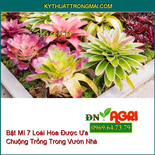 hoa trồng trong vườn nhà