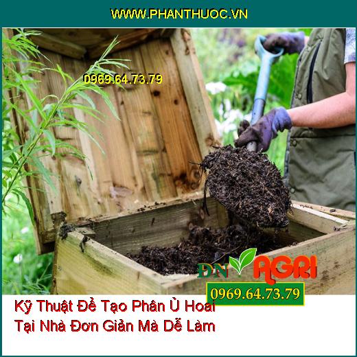 Kỹ Thuật Để Tạo Phân Ủ Hoai Tại Nhà Đơn Giản Mà Dễ Làm