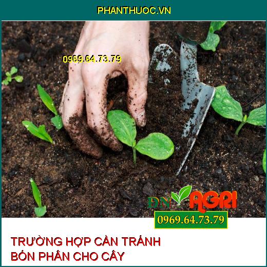 5 Trường Hợp Tuyệt Đối Nên Tránh Khi Bón Phân Cho Cây 