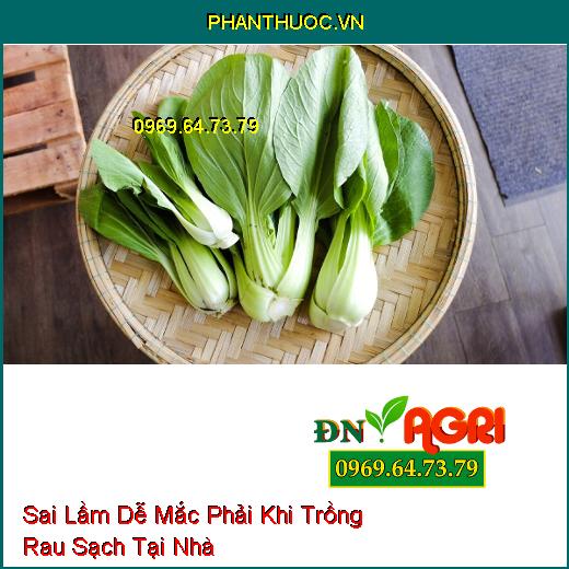 8 Sai Lầm Dễ Mắc Phải Khi Trồng Rau Sạch Tại Nhà