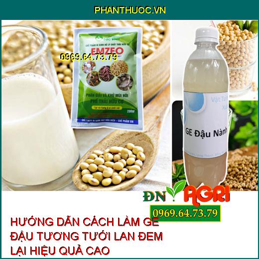 HƯỚNG DẪN CÁCH LÀM GE ĐẬU TƯƠNG TƯỚI LAN ĐEM LẠI HIỆU QUẢ CAO