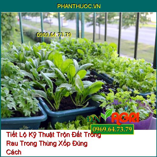 Tiết Lộ Kỹ Thuật Trộn Đất Trồng Rau Trong Thùng Xốp Đúng Cách