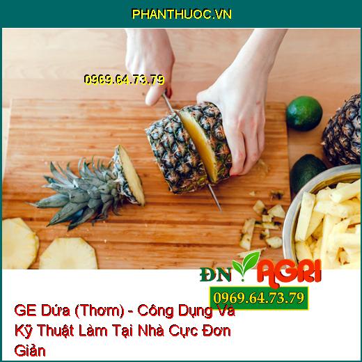 GE Dứa (Thơm) - Công Dụng Và Kỹ Thuật Làm Tại Nhà Cực Đơn Giản