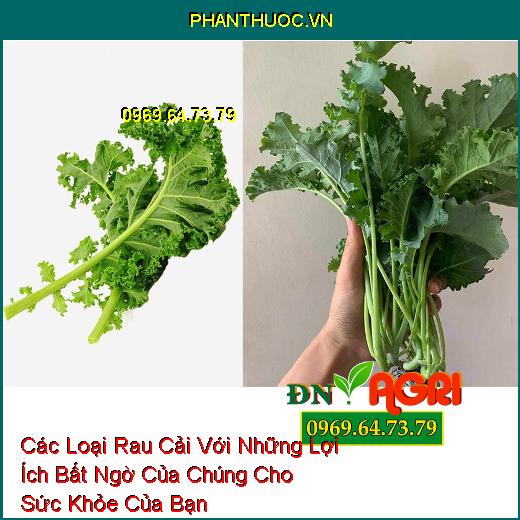 Các Loại Rau Cải Với Những Lợi Ích Bất Ngờ Của Chúng Cho Sức Khỏe Của Bạn