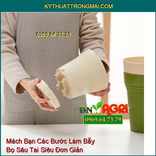 Mách Bạn Các Bước Làm Bẫy Bọ Sâu Tai Siêu Đơn Giản