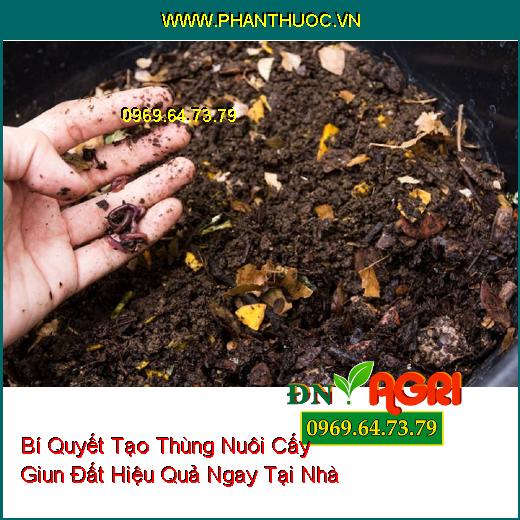 Bí Quyết Tạo Thùng Nuôi Cấy Giun Đất Hiệu Quả Ngay Tại Nhà