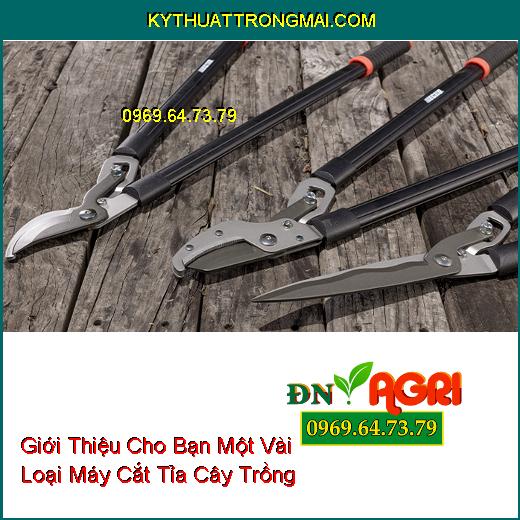 Giới Thiệu Cho Bạn Một Vài Loại Máy Cắt Tỉa Cây Trồng