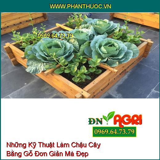 Những Kỹ Thuật Làm Chậu Cây Bằng Gỗ Đơn Giản Mà Đẹp