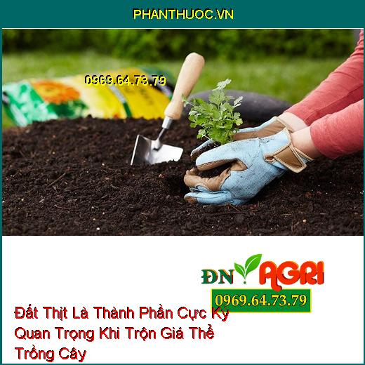 Đất Thịt Là Thành Phần Cực Kỳ Quan Trọng Khi Trộn Giá Thể Trồng Cây