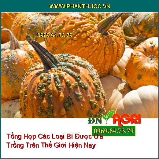 Tổng Hợp Các Loại Bí Được Ưa Trồng Trên Thế Giới Hiện Nay