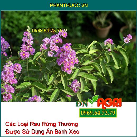 Các Loại Rau Rừng Thường Được Sử Dụng Ăn Bánh Xèo