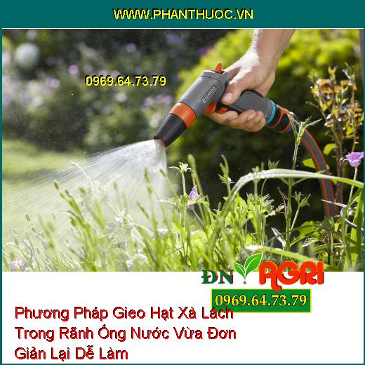 Phương Pháp Gieo Hạt Xà Lách Trong Rãnh Ống Nước Vừa Đơn Giản Lại Dễ Làm