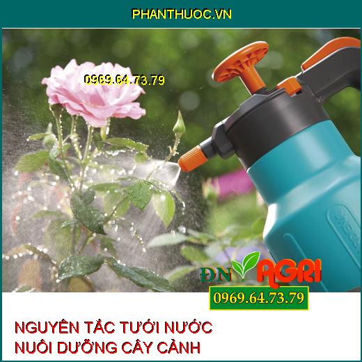 5 Nguyên Tắc Cơ Bản Khi Tưới Nước Cho Cây Cảnh Không Nên Bỏ Qua 