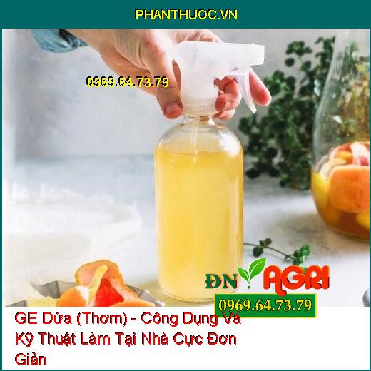 GE Dứa (Thơm) - Công Dụng Và Kỹ Thuật Làm Tại Nhà Cực Đơn Giản