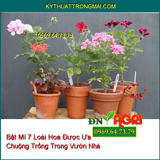 hoa trồng trong vườn nhà