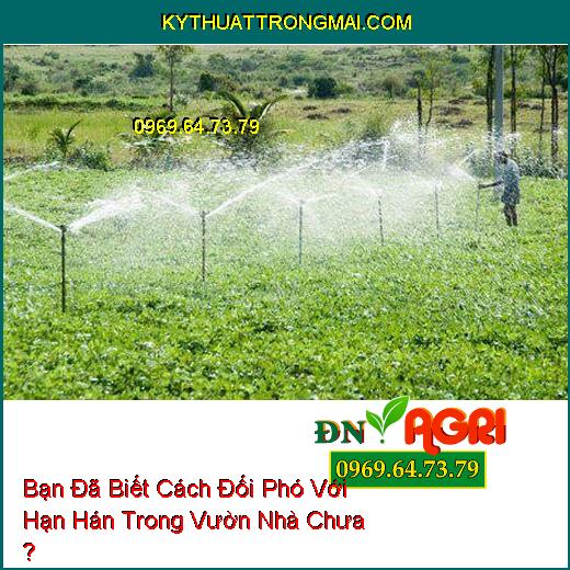 Bạn Đã Biết Cách Đối Phó Với Hạn Hán Trong Vườn Nhà Chưa ?