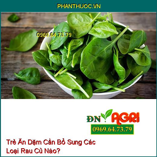 Trẻ Ăn Dặm Cần Bổ Sung Các Loại Rau Củ Nào?