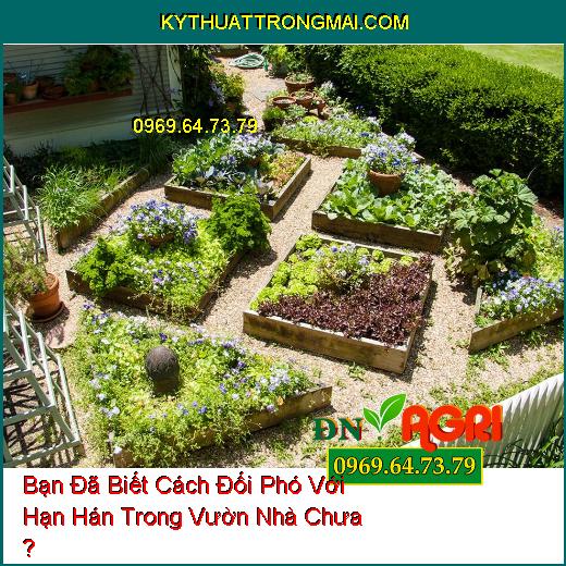 Bạn Đã Biết Cách Đối Phó Với Hạn Hán Trong Vườn Nhà Chưa ?