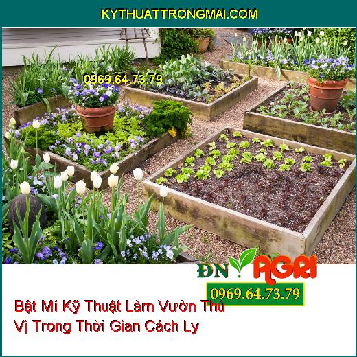 Bật Mí Kỹ Thuật Làm Vườn Thú Vị Trong Thời Gian Cách Ly