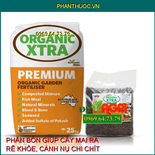 5 loại phân bón tốt nhất cho cây mai sau Tết giúp rễ khỏe năm sau lại đầy hoa