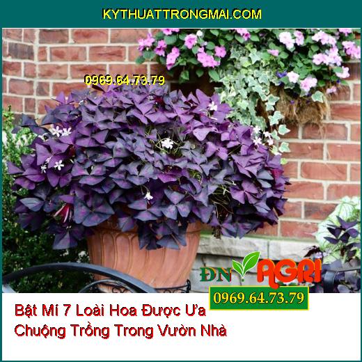 hoa trồng trong vườn nhà