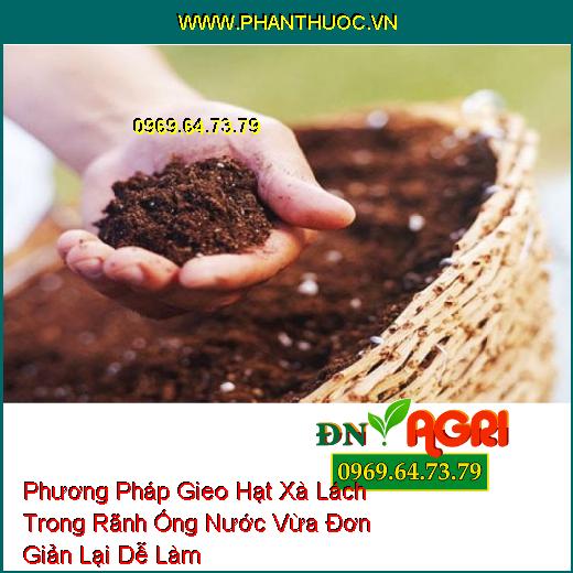 Phương Pháp Gieo Hạt Xà Lách Trong Rãnh Ống Nước Vừa Đơn Giản Lại Dễ Làm