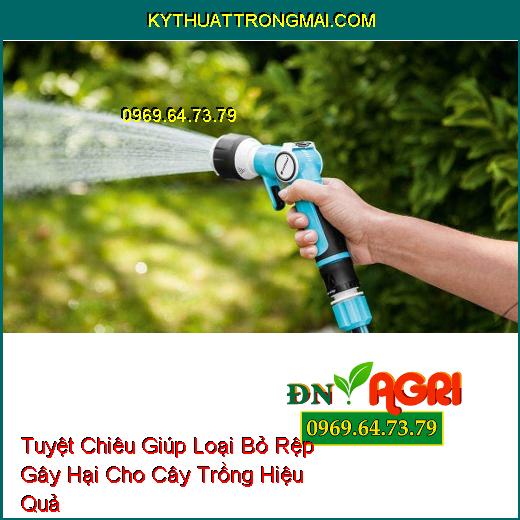 Tuyệt Chiêu Giúp Loại Bỏ Rệp Gây Hại Cho Cây Trồng Hiệu Quả