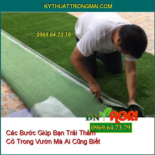 Các Bước Giúp Bạn Trải Thảm Cỏ Trong Vườn Mà Ai Cũng Biết