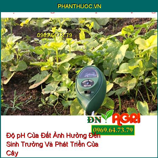 Độ pH Của Đất Ảnh Hưởng Đến Sinh Trưởng Và Phát Triển Của Cây Trồng Thế Nào?