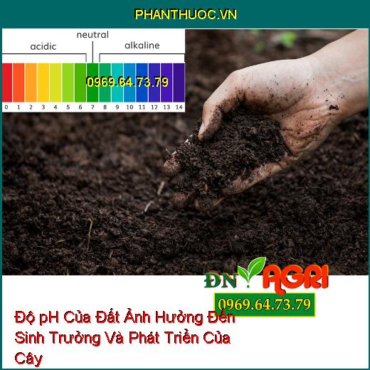 Độ pH Của Đất Ảnh Hưởng Đến Sinh Trưởng Và Phát Triển Của Cây Trồng Thế Nào?