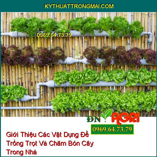 Giới Thiệu Các Vật Dụng Để Trồng Trọt Và Chăm Bón Cây Trong Nhà Hiệu Quả