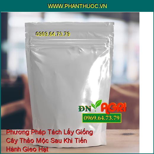 Phương Pháp Tách Lấy Giống Cây Thảo Mộc Sau Khi Tiến Hành Gieo Hạt