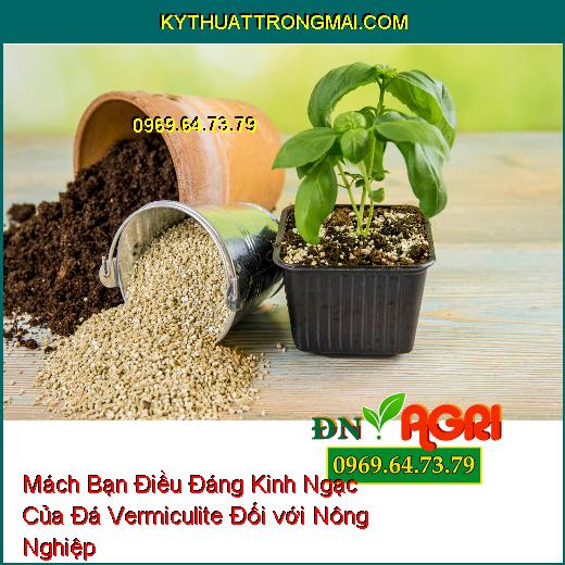 Mách Bạn Điều Đáng Kinh Ngạc Của Đá Vermiculite Đối với Nông Nghiệp