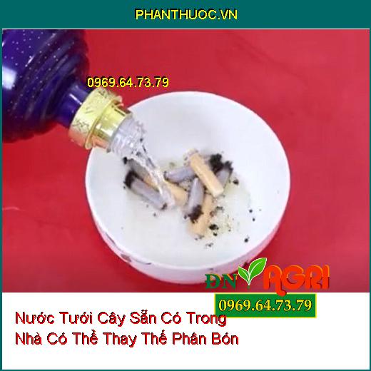 6 Loại Nước Tưới Cây Sẵn Có Trong Nhà Có Thể Thay Thế Phân Bón